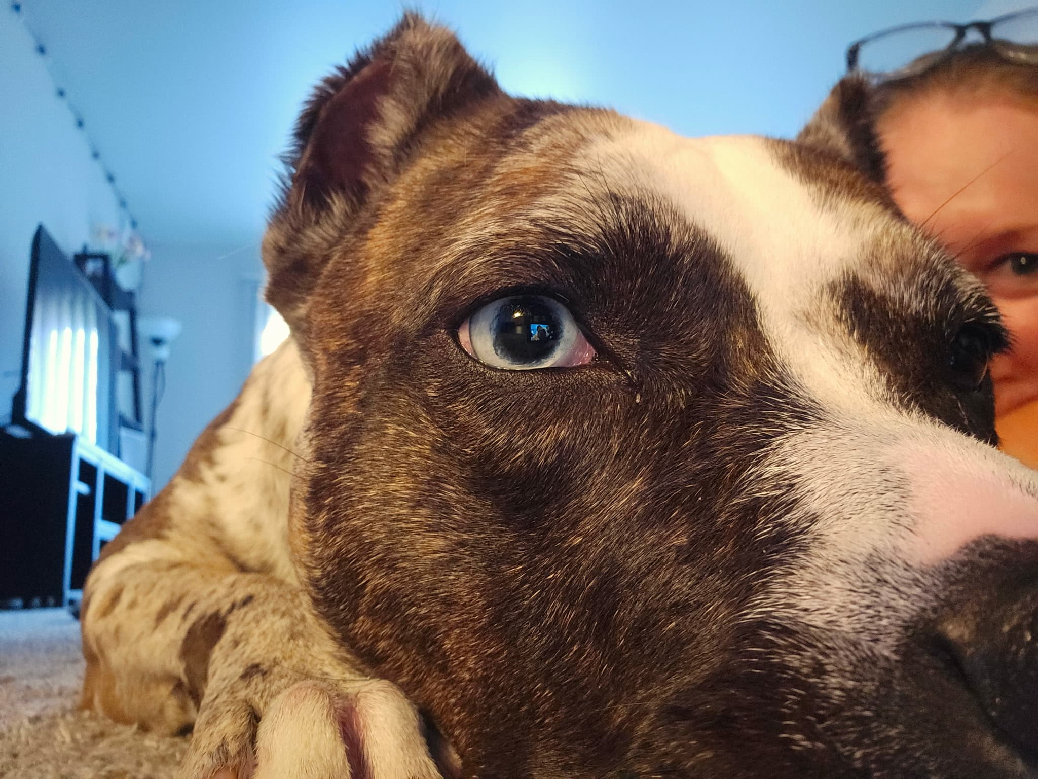 Peek-a-boo!