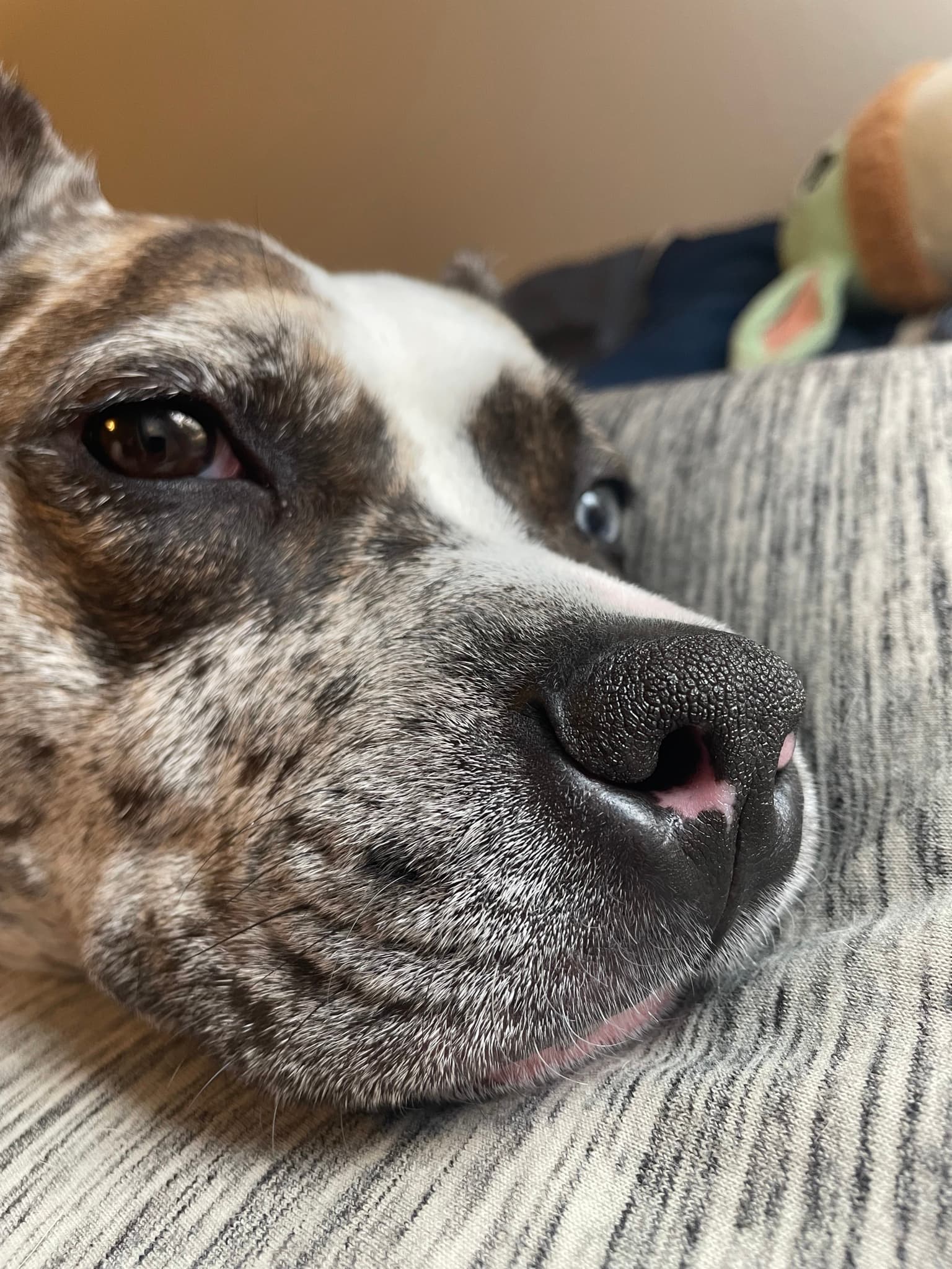 Deep in thought.