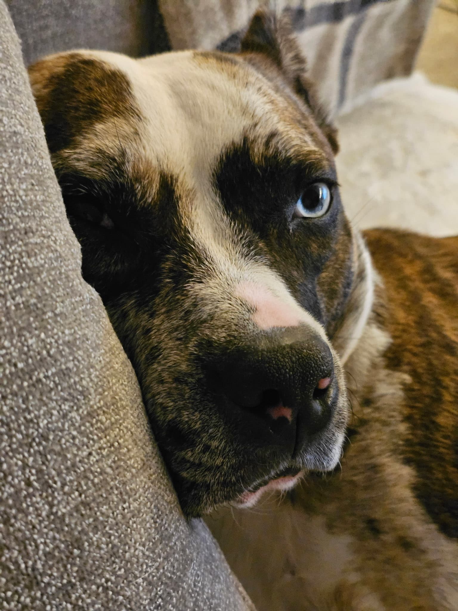 Feel cute, might delete later