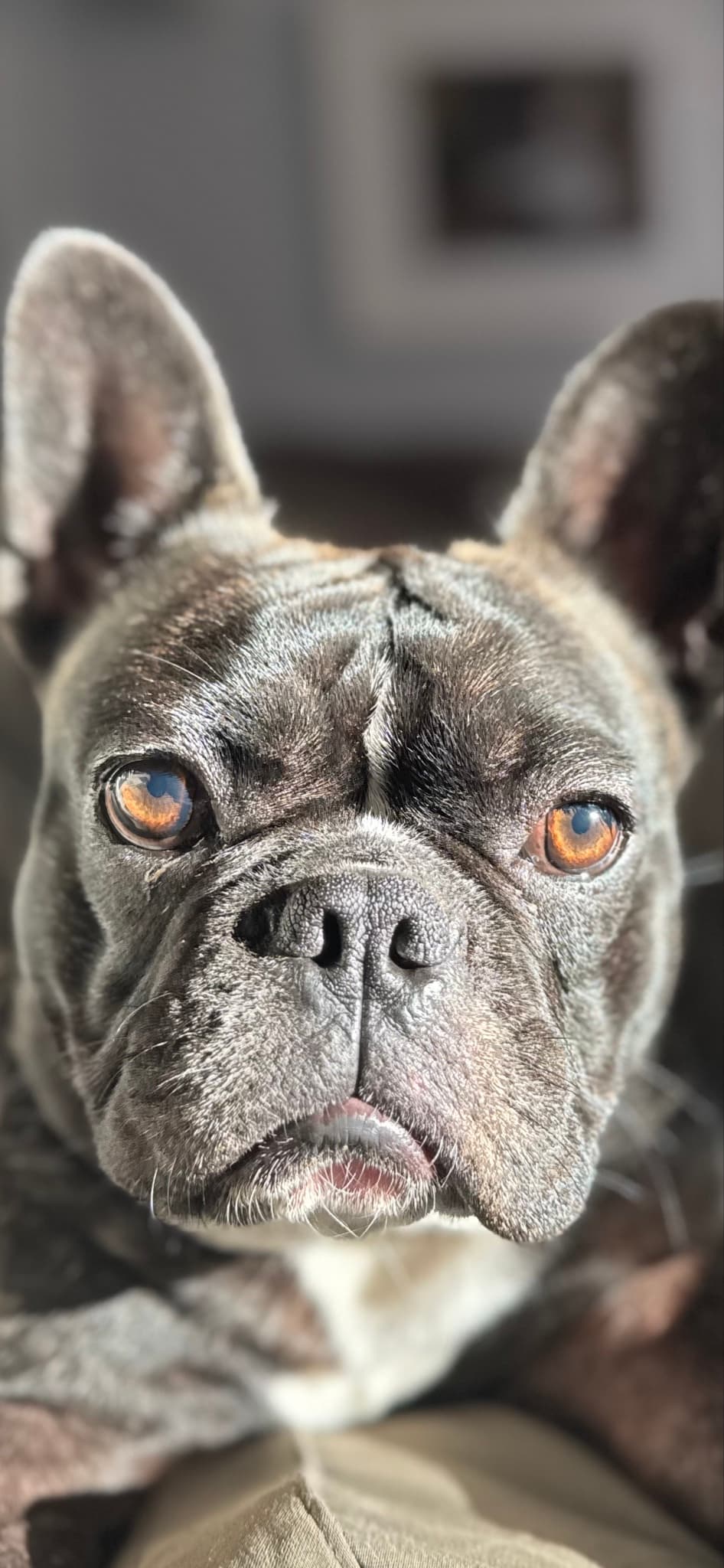 So Serious