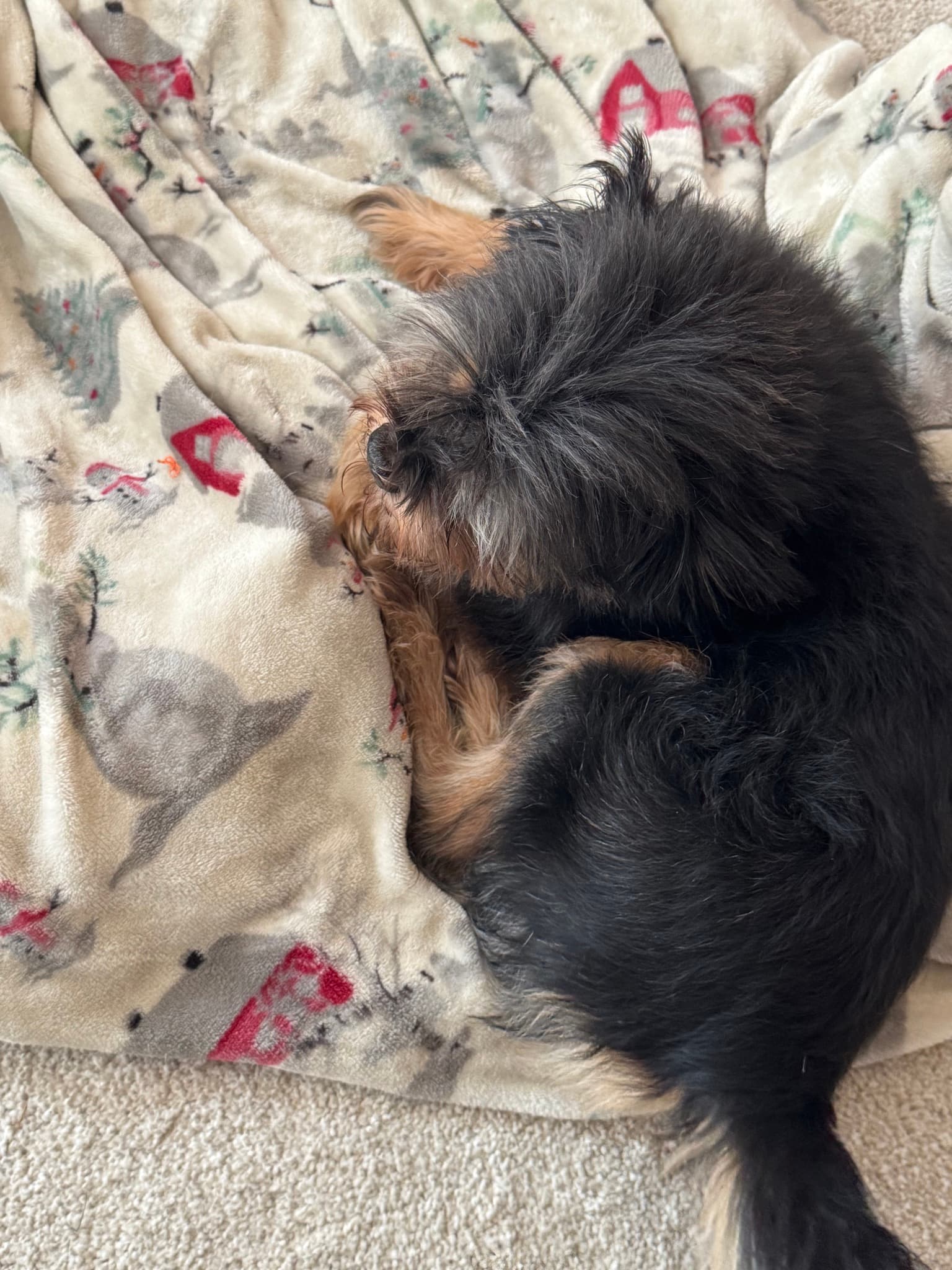 Little man always by my side