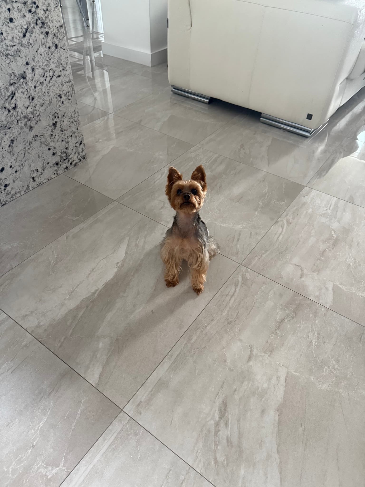 Fresh cut 🐾
