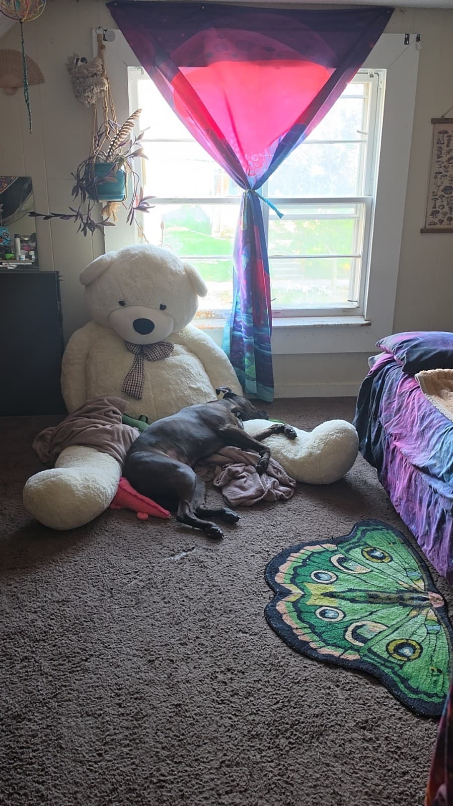 Lucy loves her mr. bear
